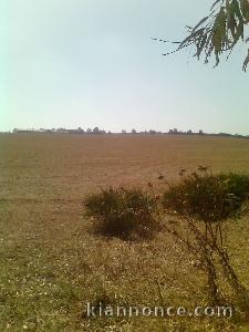 Terrain Agricole de 10H rég Sidi Rahal