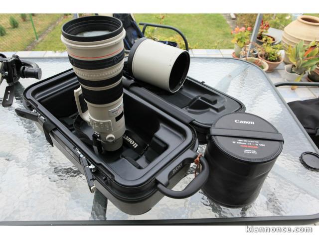Canon EF 500 mm F4 L IS Usm