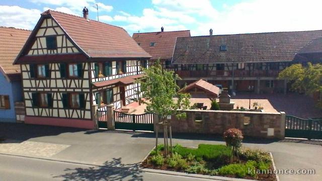 Gite Krauffel 6- 8 person en Alsace près Obernai 530 € la semaine