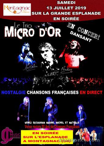 Concert dansant Gratuit chansons francaises Trio Micro d\