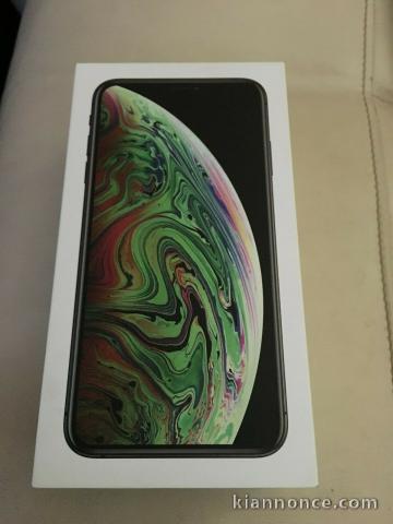 IPhone XS max  sidéral 256 go  