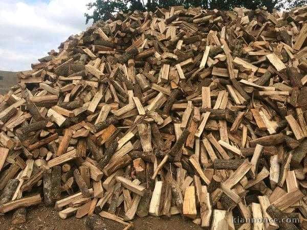 Stères de bois à vendre très bonne qualité 