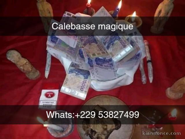 LA CALEBASSE MAGIQUE INCROYABLE,TEL:+229 538 274 99