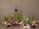 IKEBANA  Nicole CHESNEAU   Art Floral Japonais