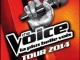 The Voice Tour 2014 à Nice le 15 Juin 2014