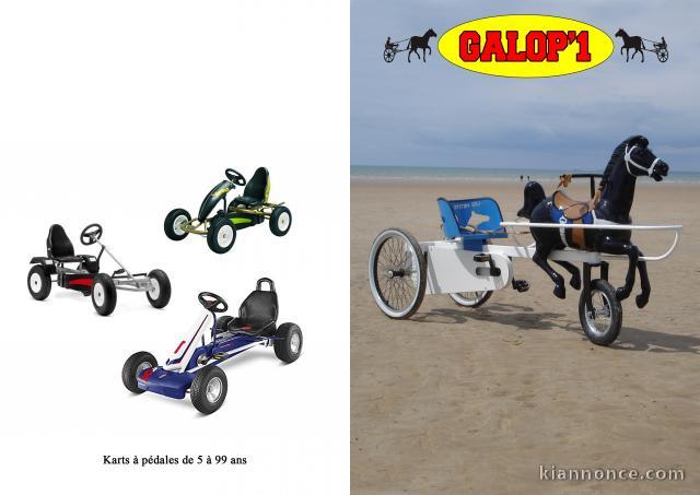 manege petits chevaux et karts a pedales enfants