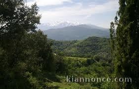 Magnifique terrain avec vigne face au Canigou