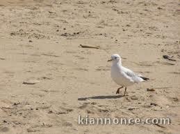 VACANCE FRONT DE MER EN NORMANDIE