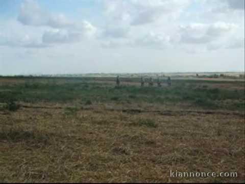 terrain agricole Oulad Said 25822 m²
