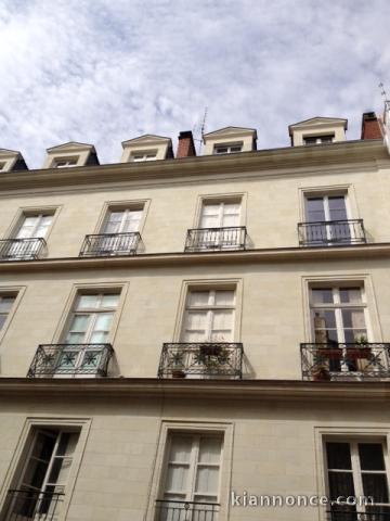 Appartement ancien entièrement rénové au cœur de Nantes