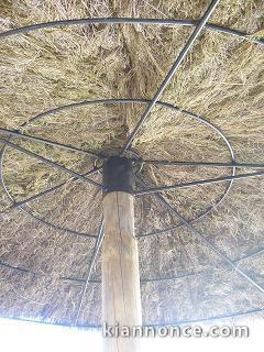 PARASOL EXOTIQUE EN BRANDE DE BRUYERE 259TTC A PRIX CHOC