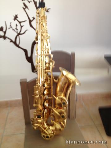 SAXOPHONE  ALTO YANAGISAWA