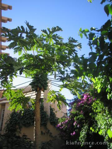 Riad à Taroudant Maroc