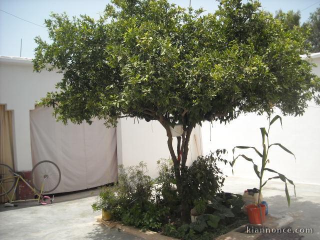 Maison à Taroudant Maroc