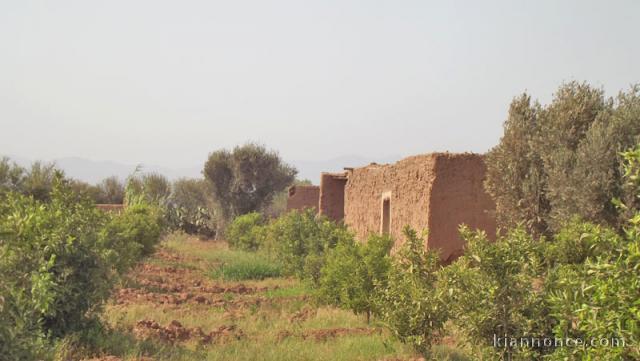 villa à Taroudant Maroc