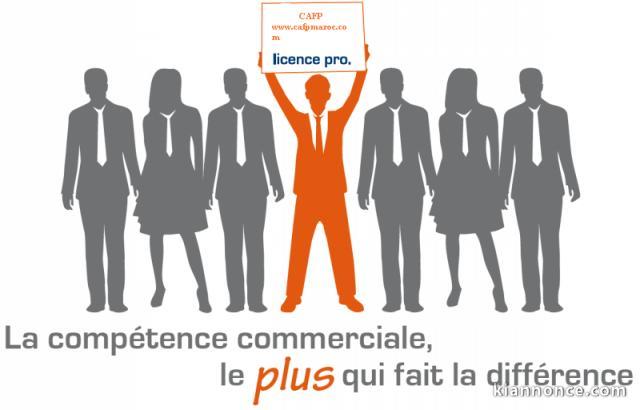 Licence professionnelle Ressources Humaines 