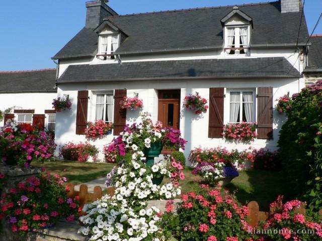 Location de vacances le Grand Hortensias centre Finistère