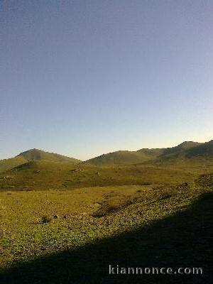 Terrain de 32 h région sidi Bouatman