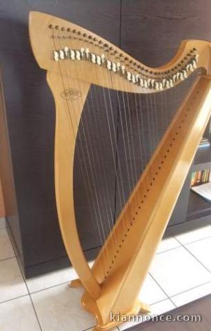 Offre HARPE CELTIQUE CAMAC