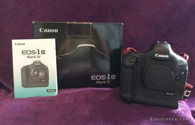 Canon EOS 1D Mark IV                                  