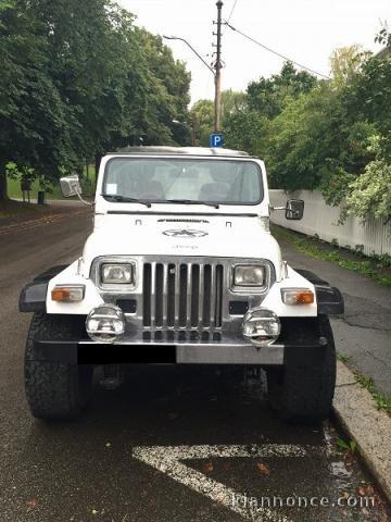 Je vends une jeep en parfait état