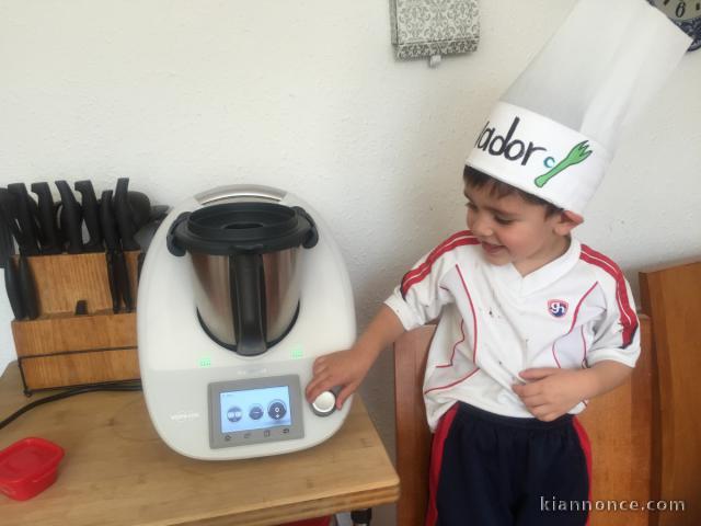 Thermomix tm5 en très bon état 