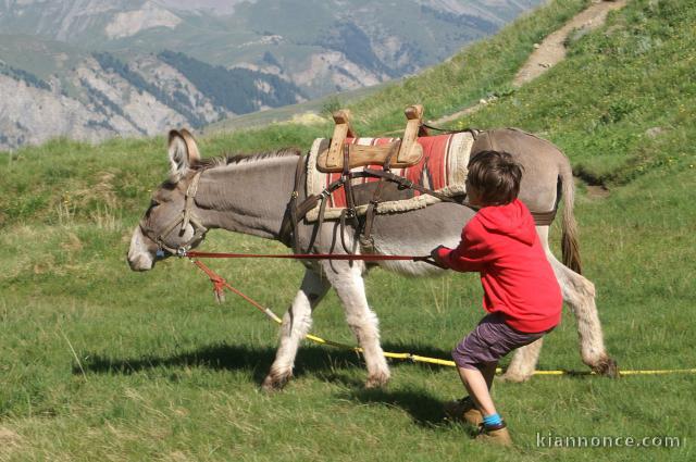 Et si vous deveniez grands-parents de cœur   sur le 10