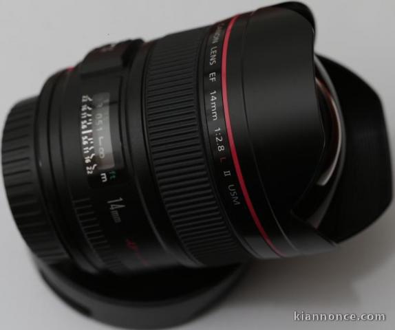 Canon EF 14 f/2.8 L version II 