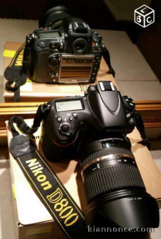 Nikon D800 + Tamron SP 24-70 2.8 DI Nikon6