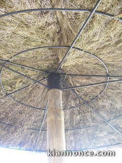  PARASOL EXOTIQUE EN BRANDE DE BRUYERE 259TTC A PRIX CHOC 