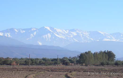 Terrain 4 ha a vendre a marrakech