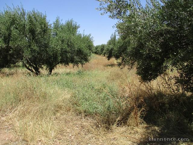 Terrain 4,5 ha sur la route d\