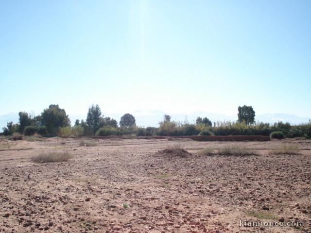 Terrain pour logements économiques