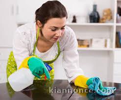 Aide ménagère à domicile en france