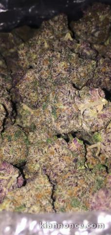 California Marijuana 
