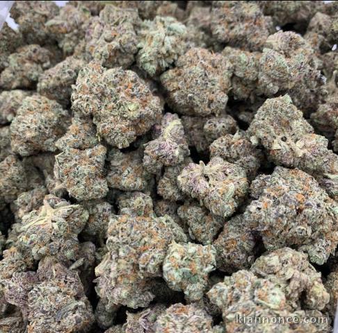 Exotic Marijuana Strains 