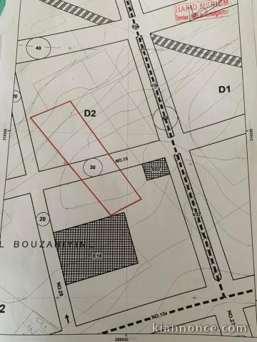 TERRAIN ZONE D2 DE 1 HECTARE ET 2ARES A NOUACEUR