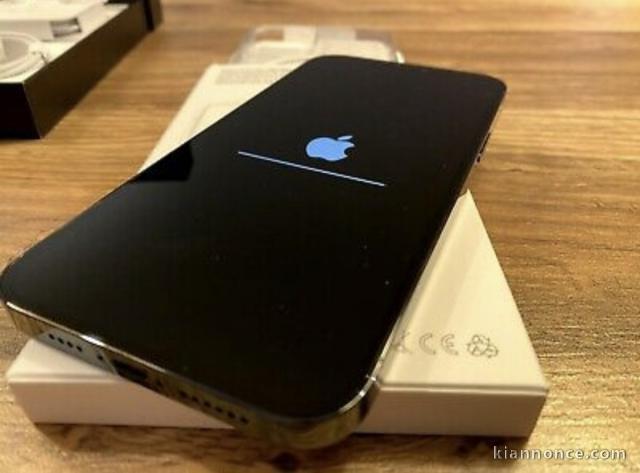 Apple iPhone 12pro max 