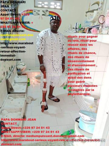 faire revenir l\