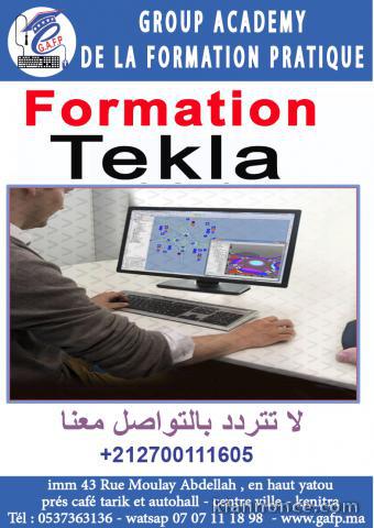 FORMATION TEKLA STRUCTURE 