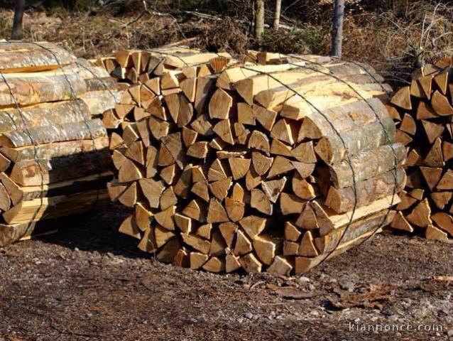 BOIS DE CHAUFFAGE POUR TOUS