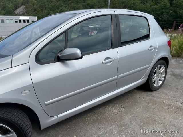 Peugeot 307 1,6 hdi 90 cv