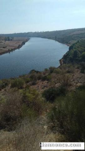 TERRAIN 3 HECTARES 5000M² OUED OUM RABI