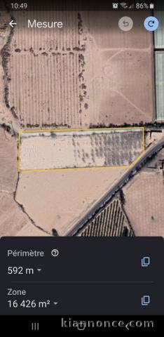 VENTE TERRAIN DE 1 HECTARE 6635M² TAROUDANT