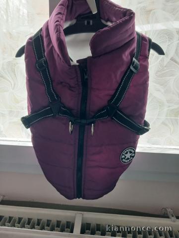 mateau pour petit chien impermable