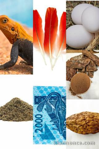 LE SEUL ET UNIQUE MAÎTRE MARABOUT AFRICAIN FRANÇOIS+2290158825315