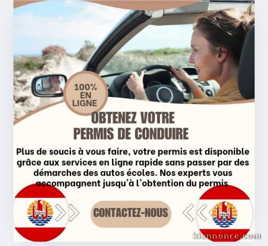Obtenez votre Permis De Conduire en toute sécurité 