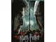 Harry Potter et les Reliques de la Mort 2ème Partie Blu Ray