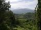 Magnifique terrain avec vigne face au Canigou