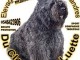 Bouvier des Flandres du Clos de la Luette